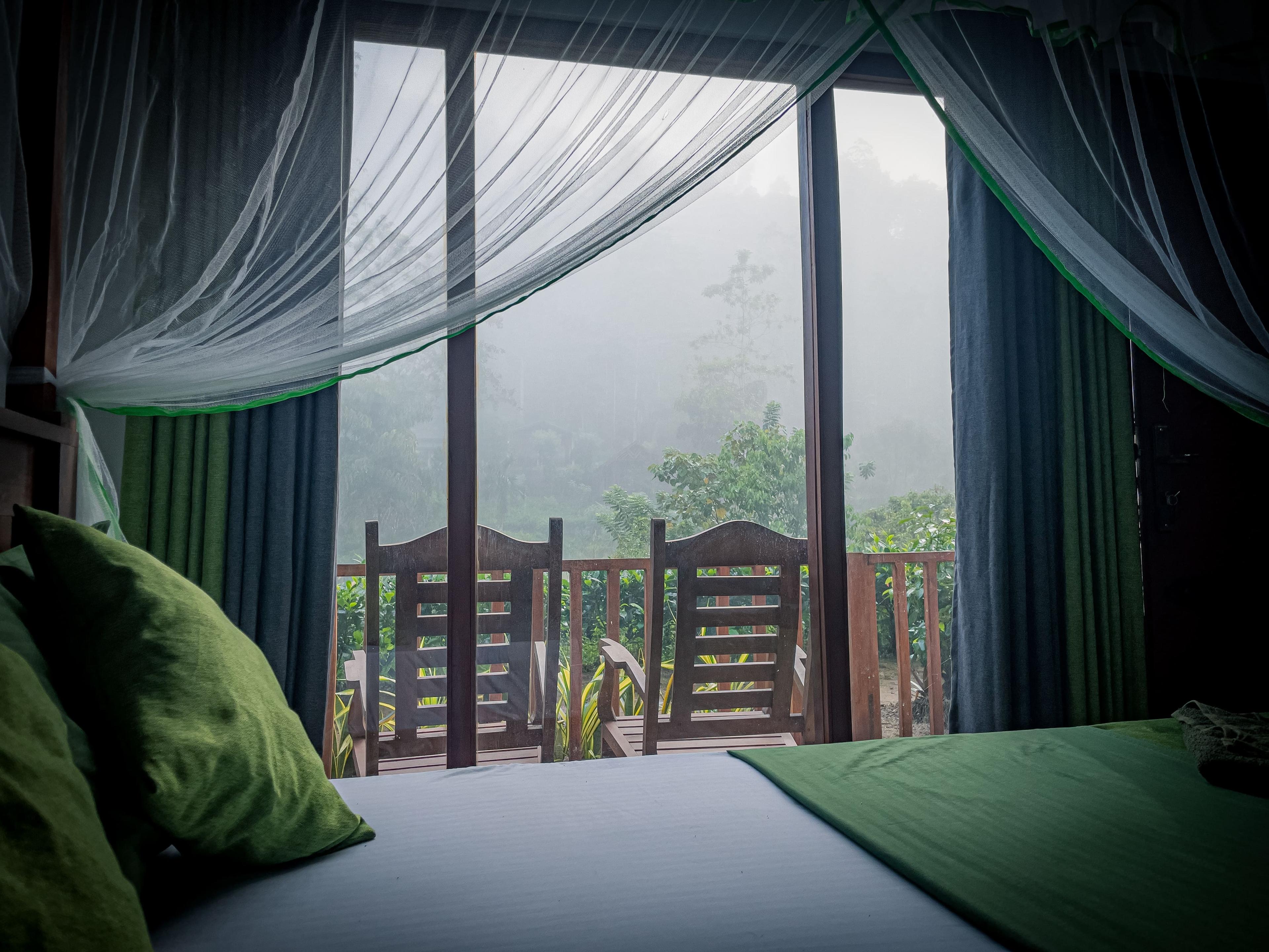 Rainforest Vibe Villa photo 9