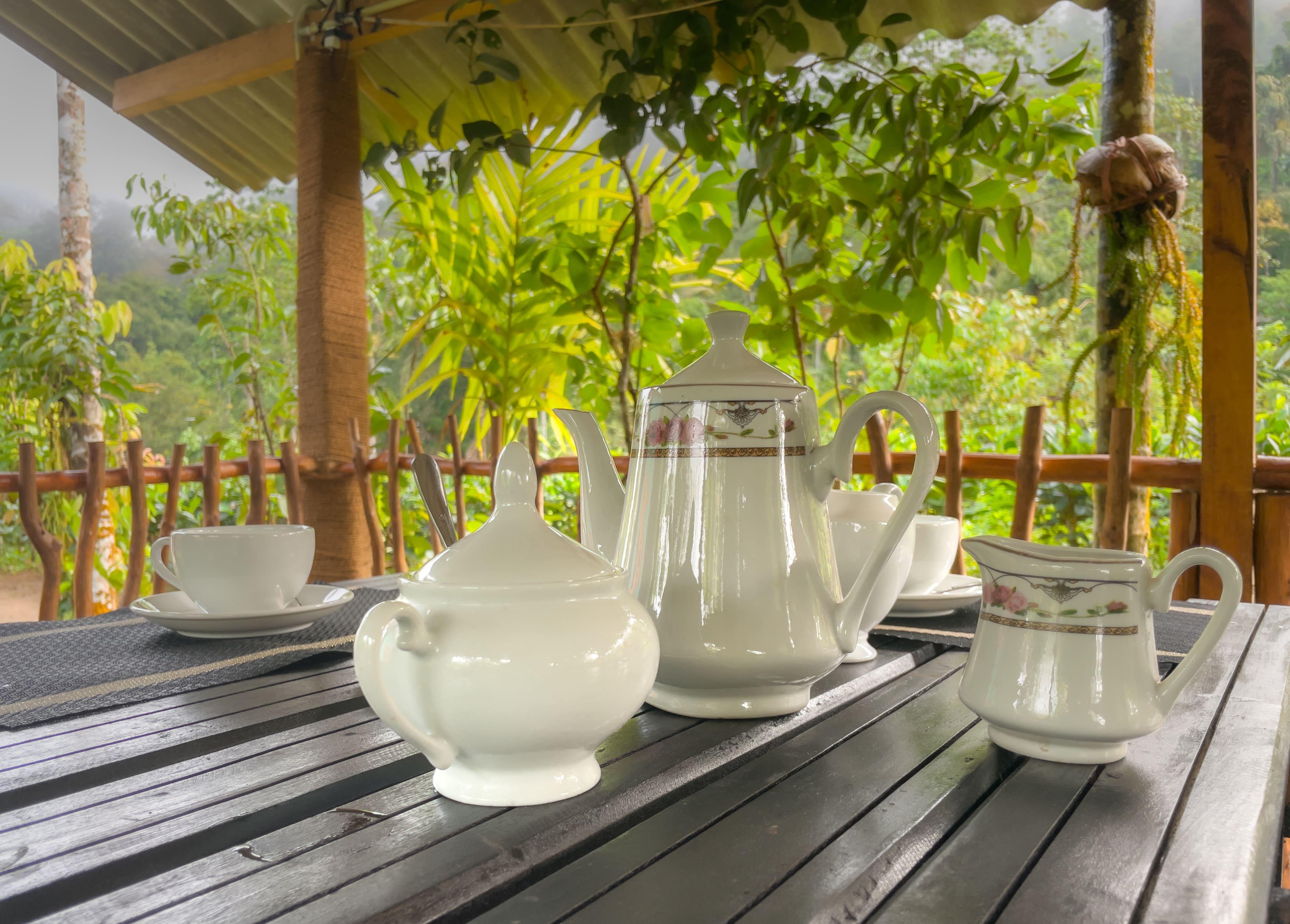 Rainforest Vibe Villa photo 8