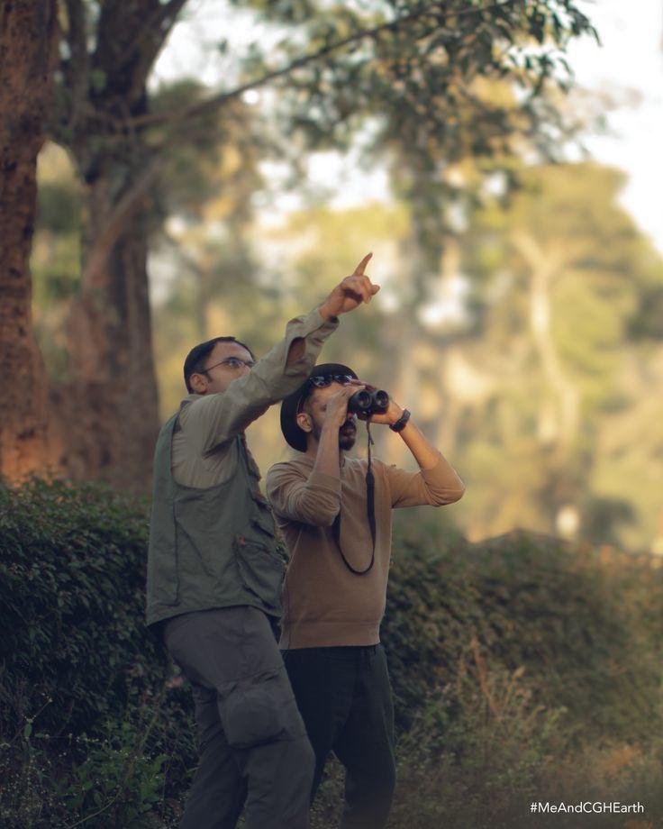 Bird watching